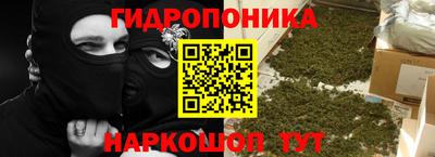 бошки Тверь