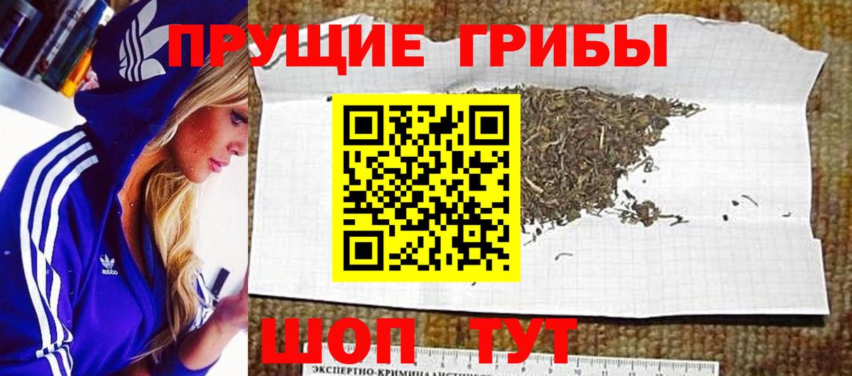 Омск  Псилоцибиновые грибы ЛСД  Вход с VPN  Псилоцибиновые грибы прущие грибы 